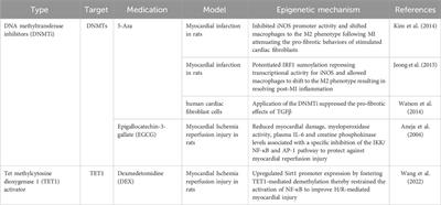 A review on regulation of DNA methylation during post-myocardial infarction